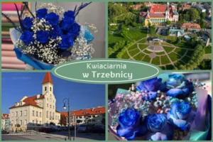 Kwiaty z dostawą Trzebnica