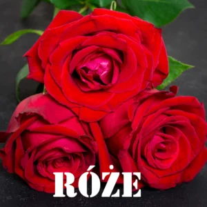 Róże od kwiaty-bukiety.com.pl