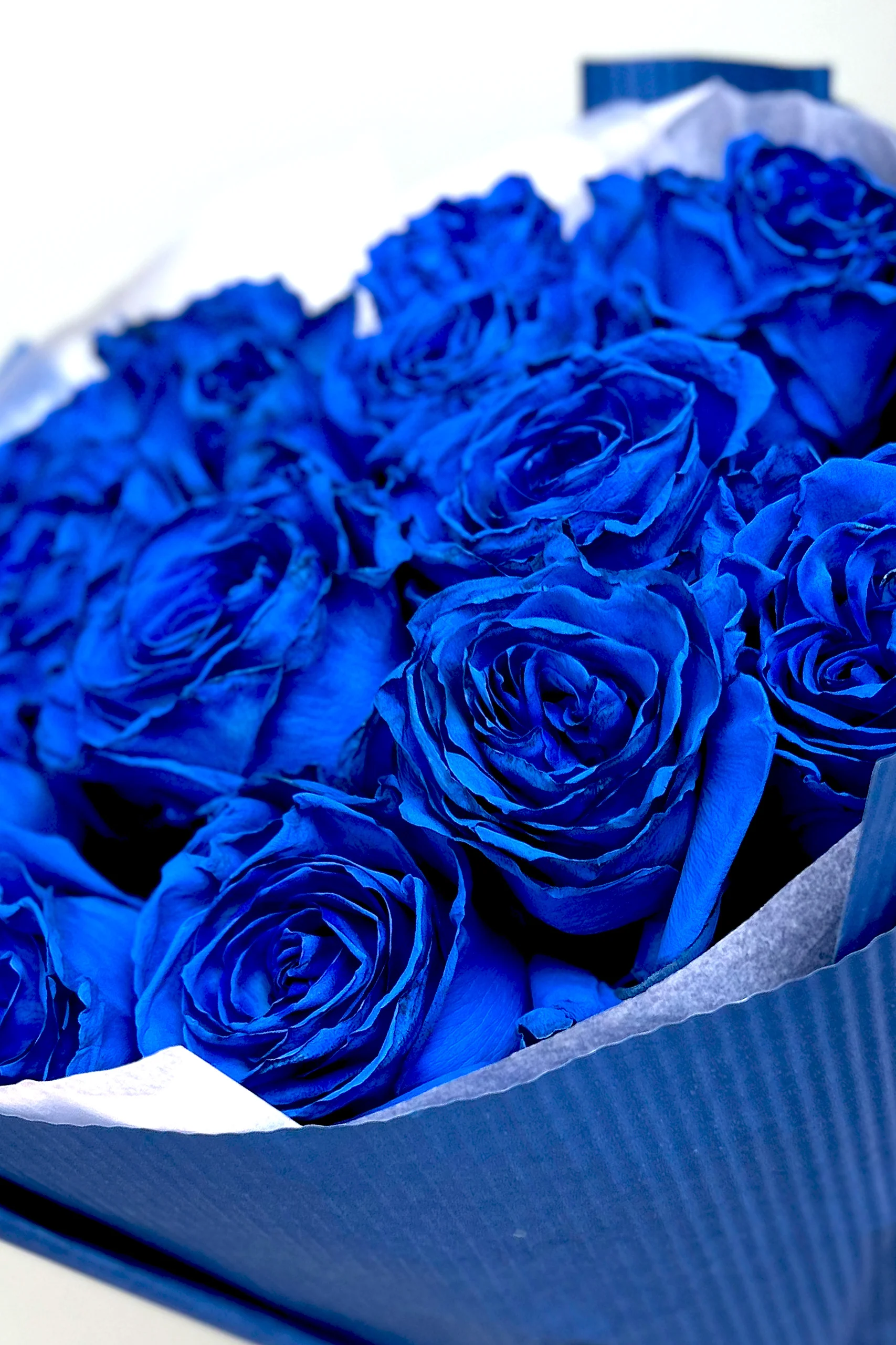 Bukiet róż z niebieskich róż w ozdobnym papierze