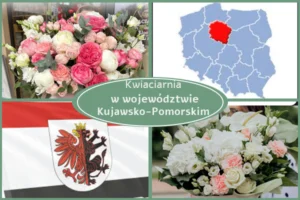 Kwiaciarnia Kujawsko-Pomorskie