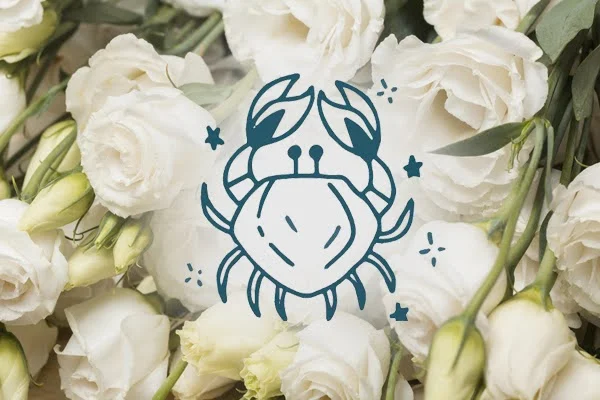 Kwiaty w astrologia – bukiet idealny dla każdego znaku zodiaku