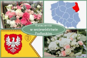 Kwiaciarnia Podlaskie