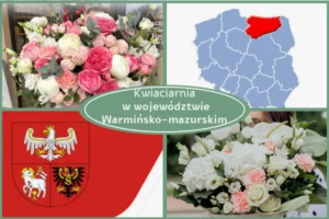 Kwiaciarnia Warmińsko-Mazurskie