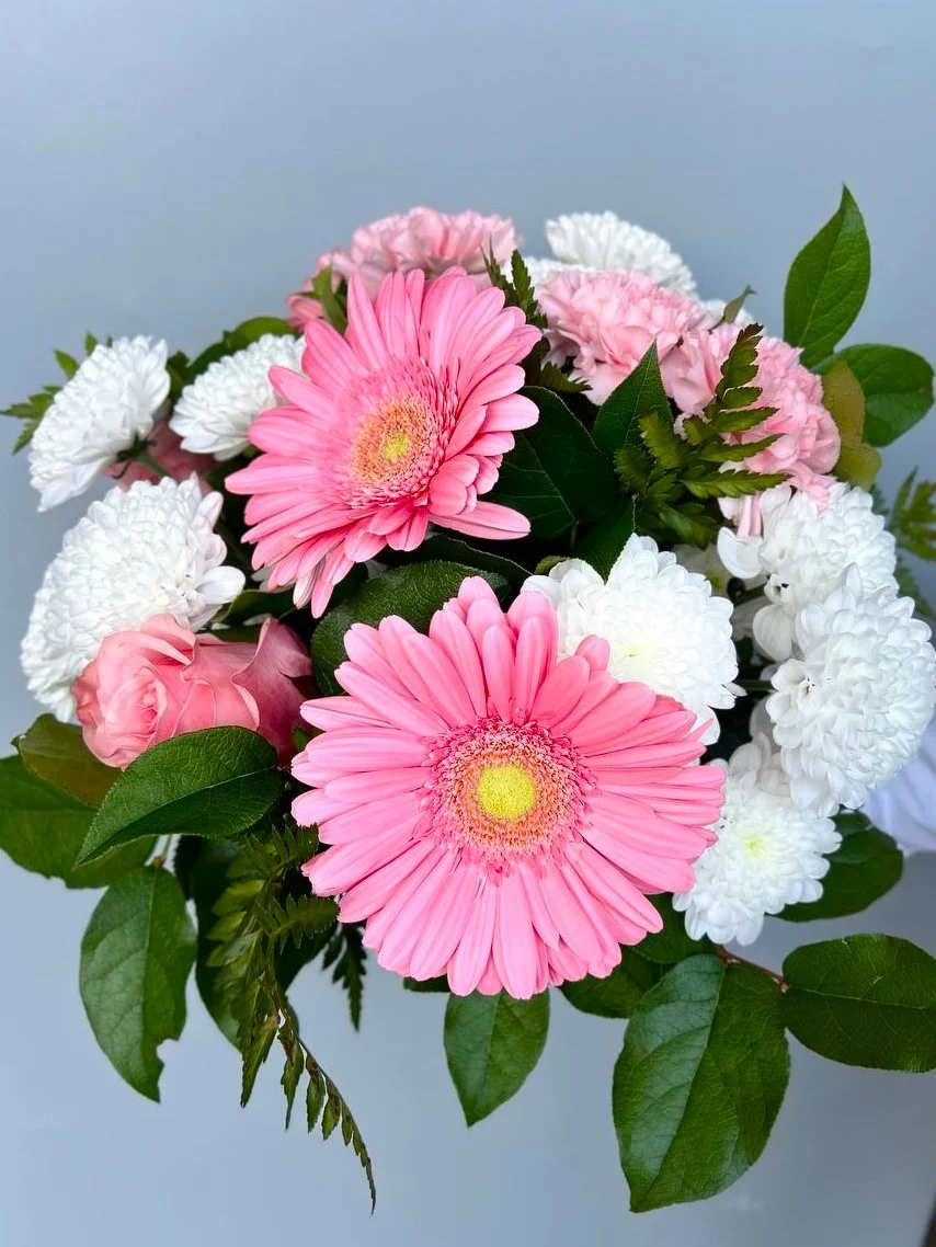 Różowe gerbery z białymi chryzantemami w bukiecie