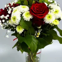 Bukiet z czerwonych róż z białymi margaretkami