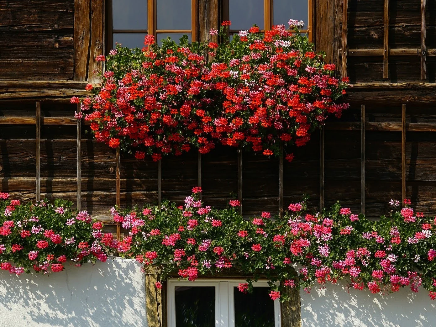 Kwiaty w doniczkach na balkonie