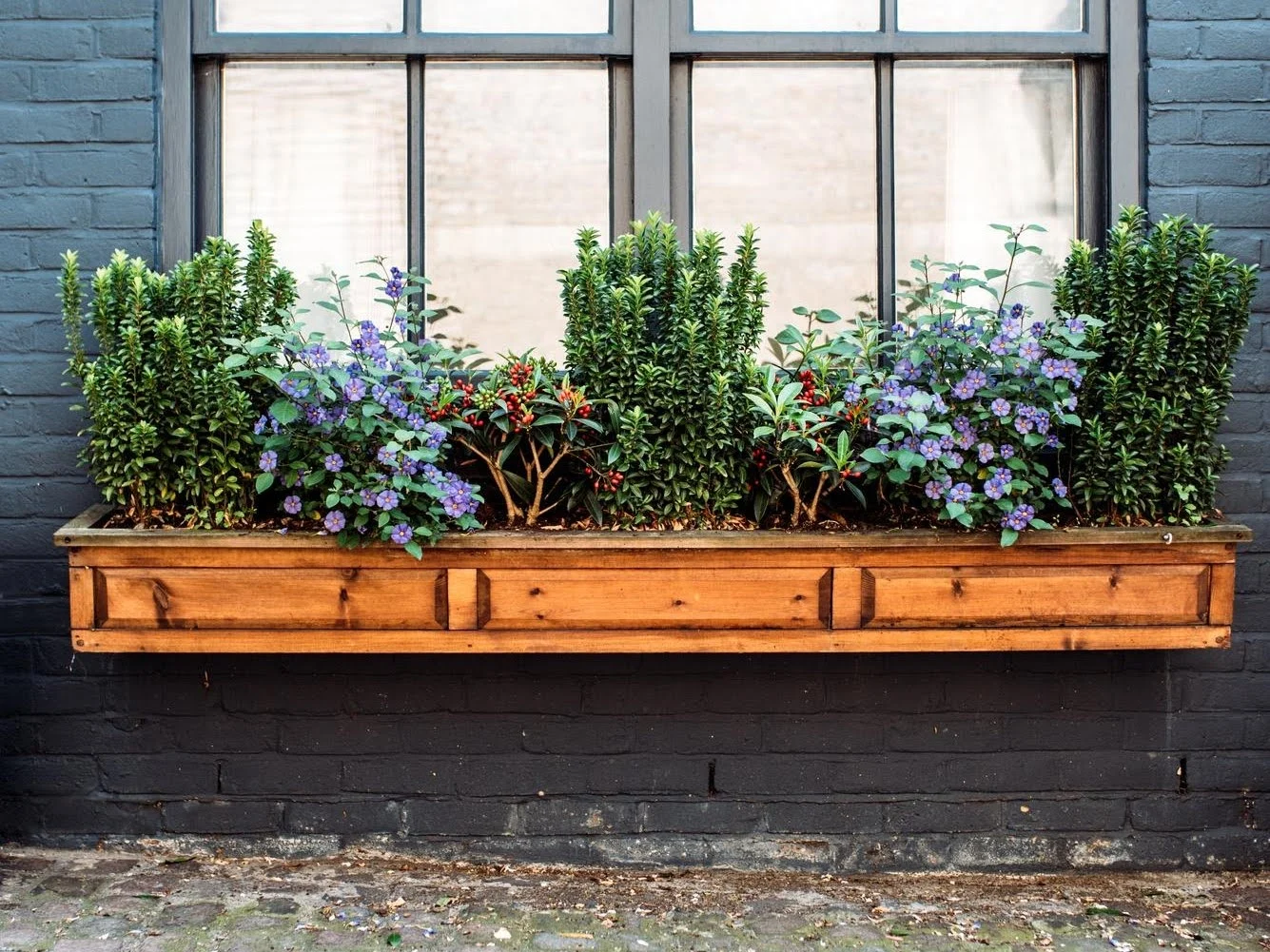 Jak chronić kwiaty balkonowe przed pierwszymi przymrozkami?