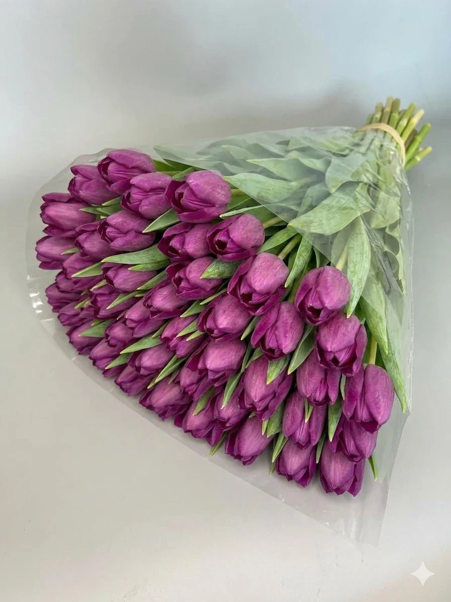 Tulipany fioletowe - 50szt