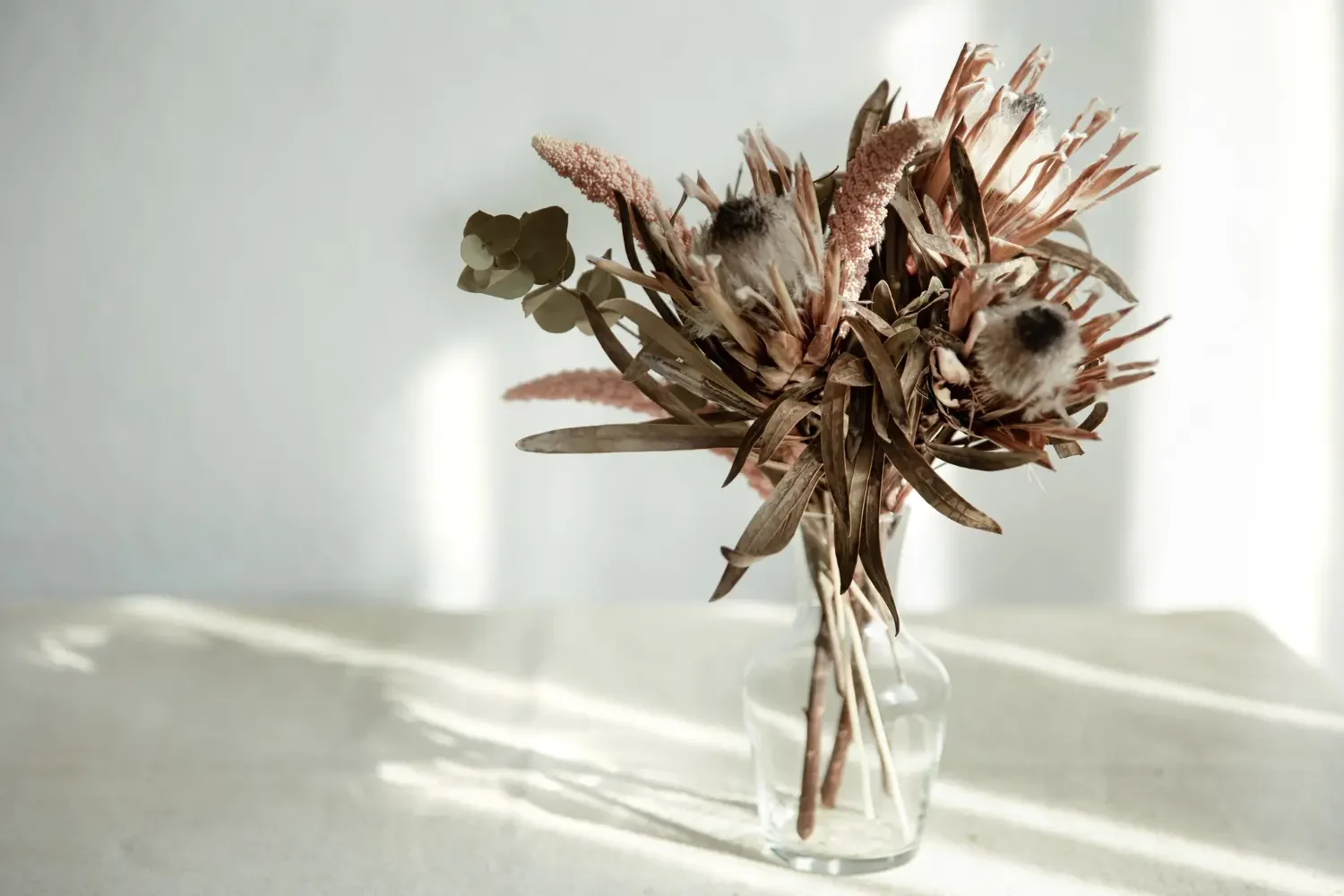 Suszona protea w bukiecie